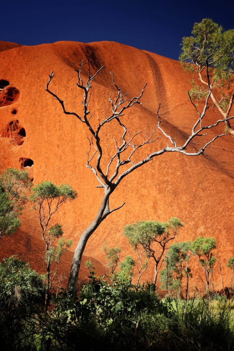 Uluru, up close and personal