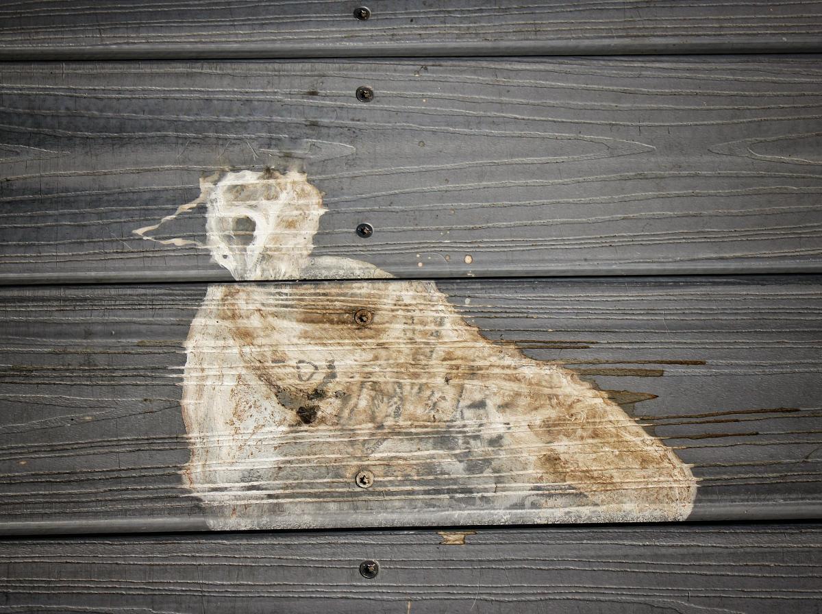 Seagull Defecation, Camden Maine