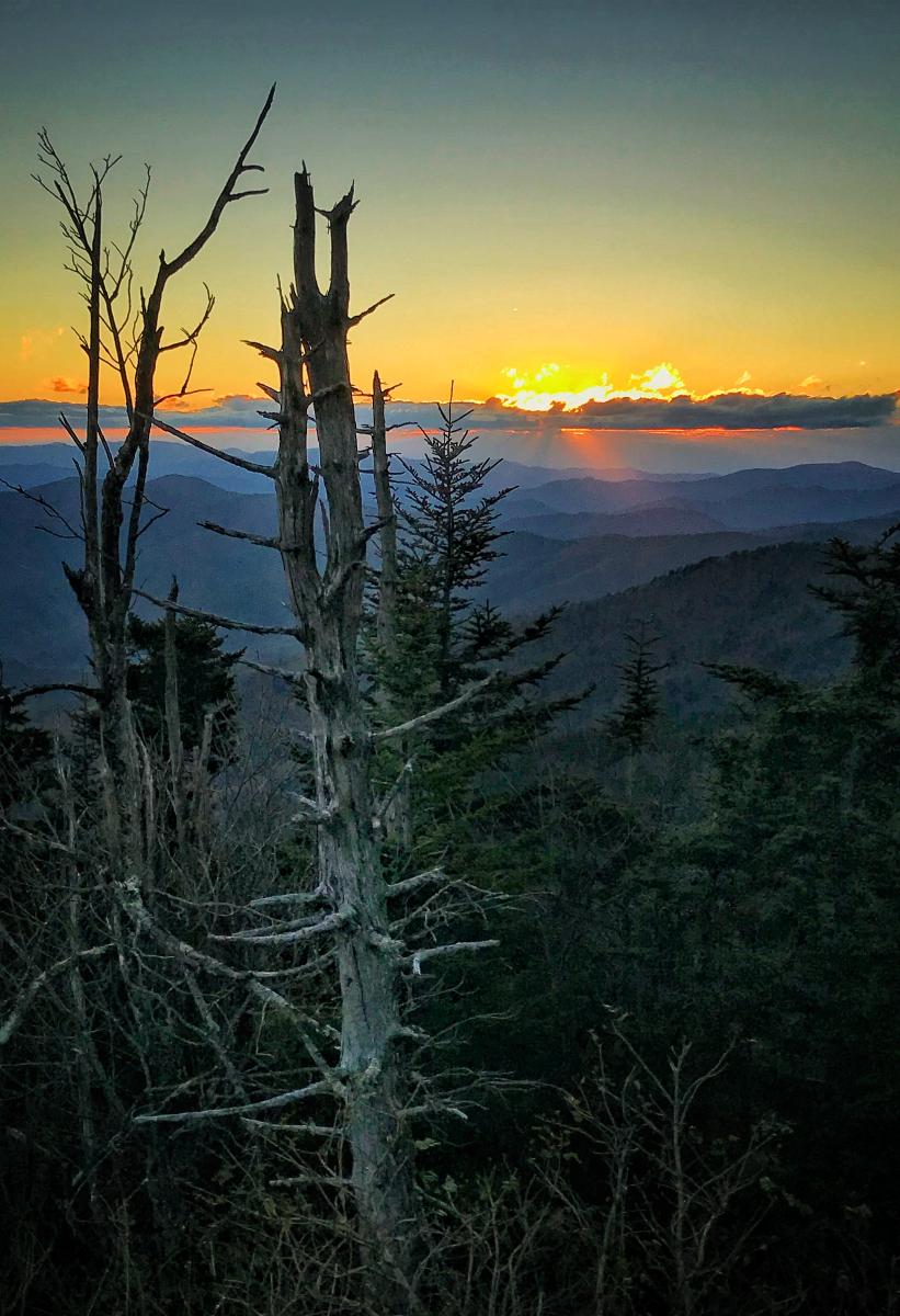 Clingmans Dome (Kuwohi)