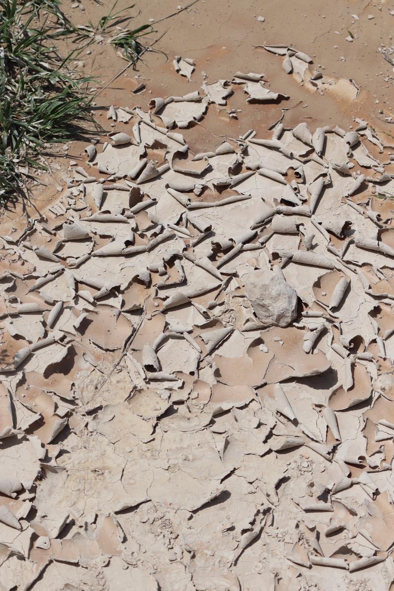 Dessicated Mud, Badlands, South Dakota