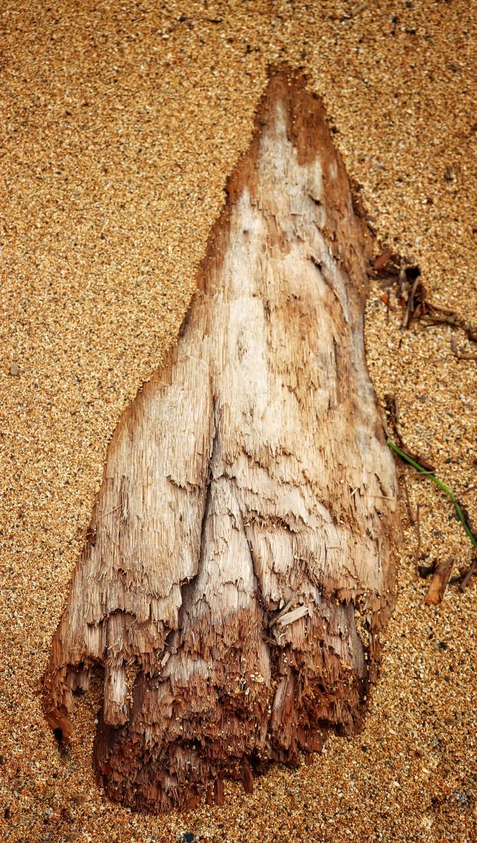 Driftwood, Kuai