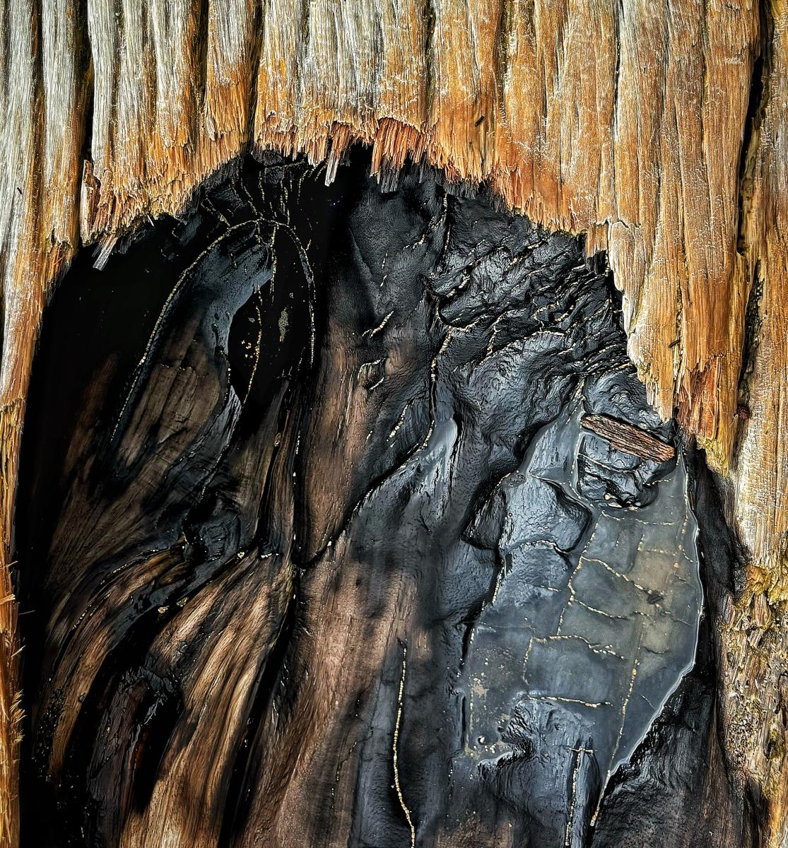 Driftwood with Golden Sand, Kuai