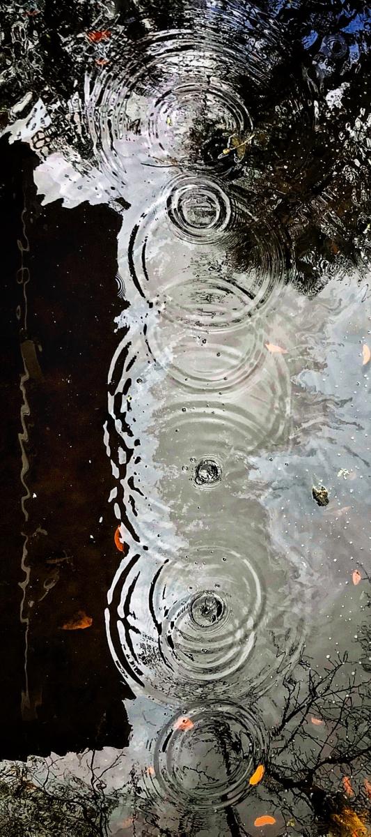 Drip Pattern, Sarasota, Florida