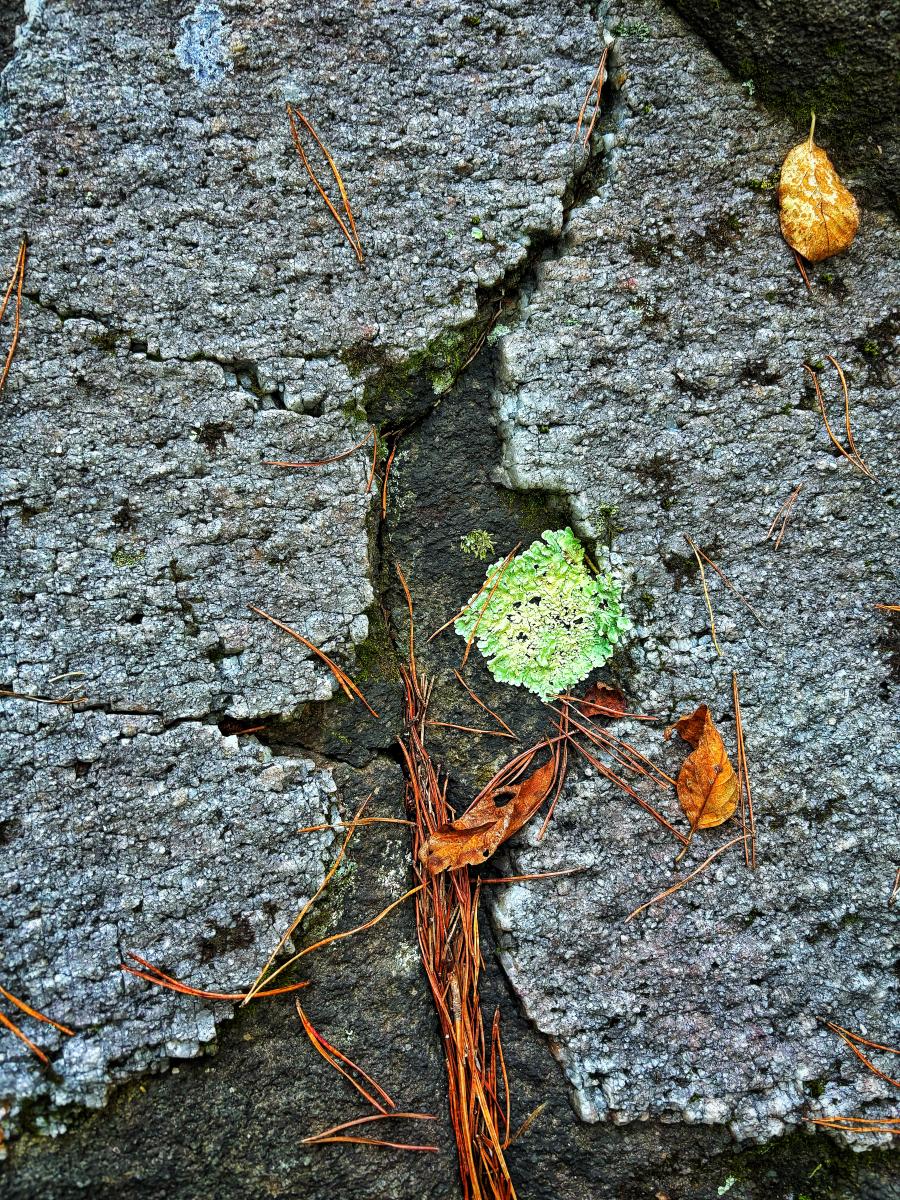 Exposed Inclusion, Ocoee River, Tennessee