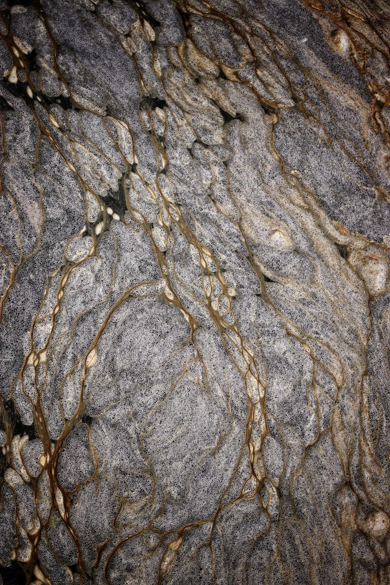 Foam Pattern 2, Saint Petersburg, Florida