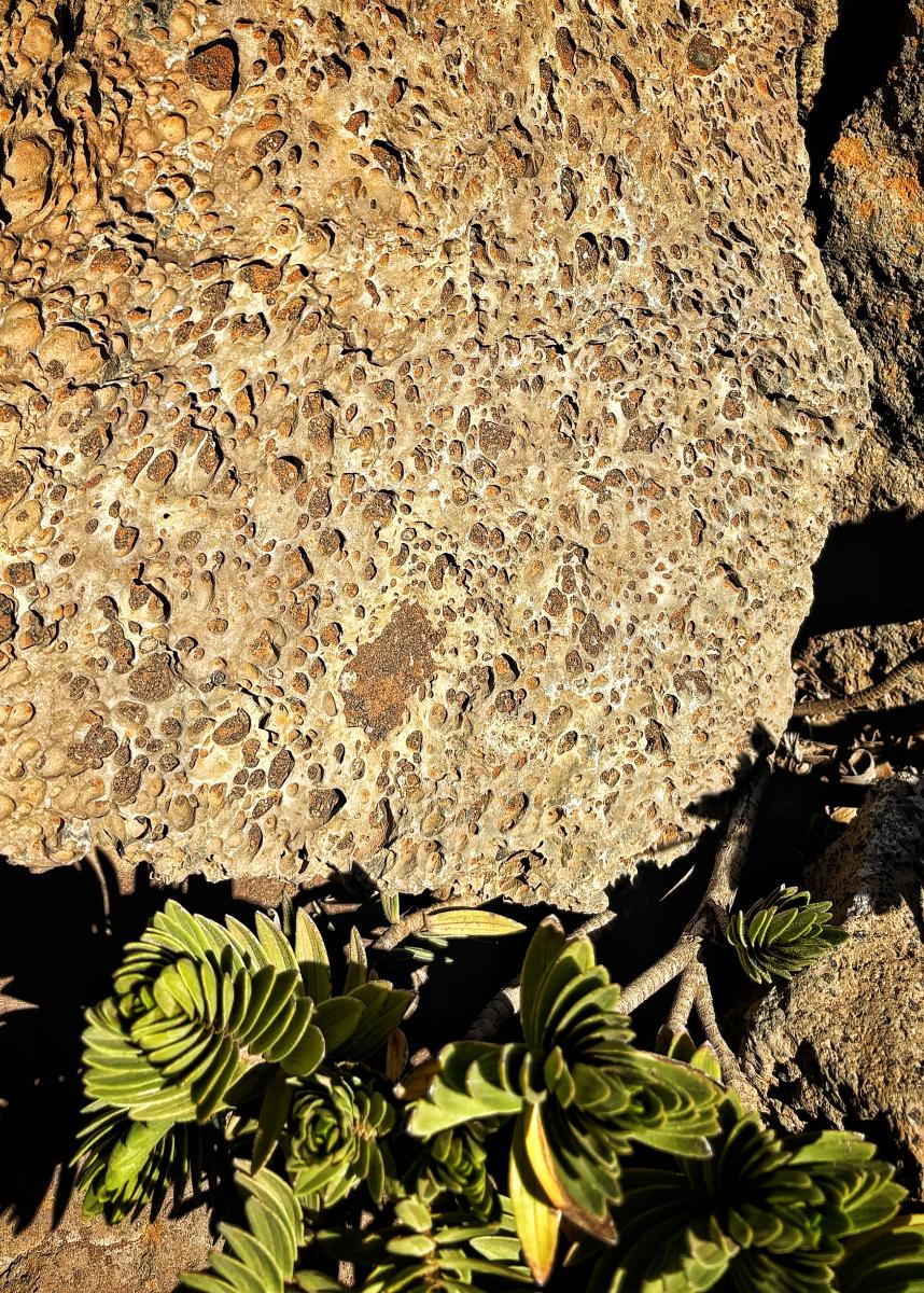 Igneous Stone, Honuaula Papaanui, Maui