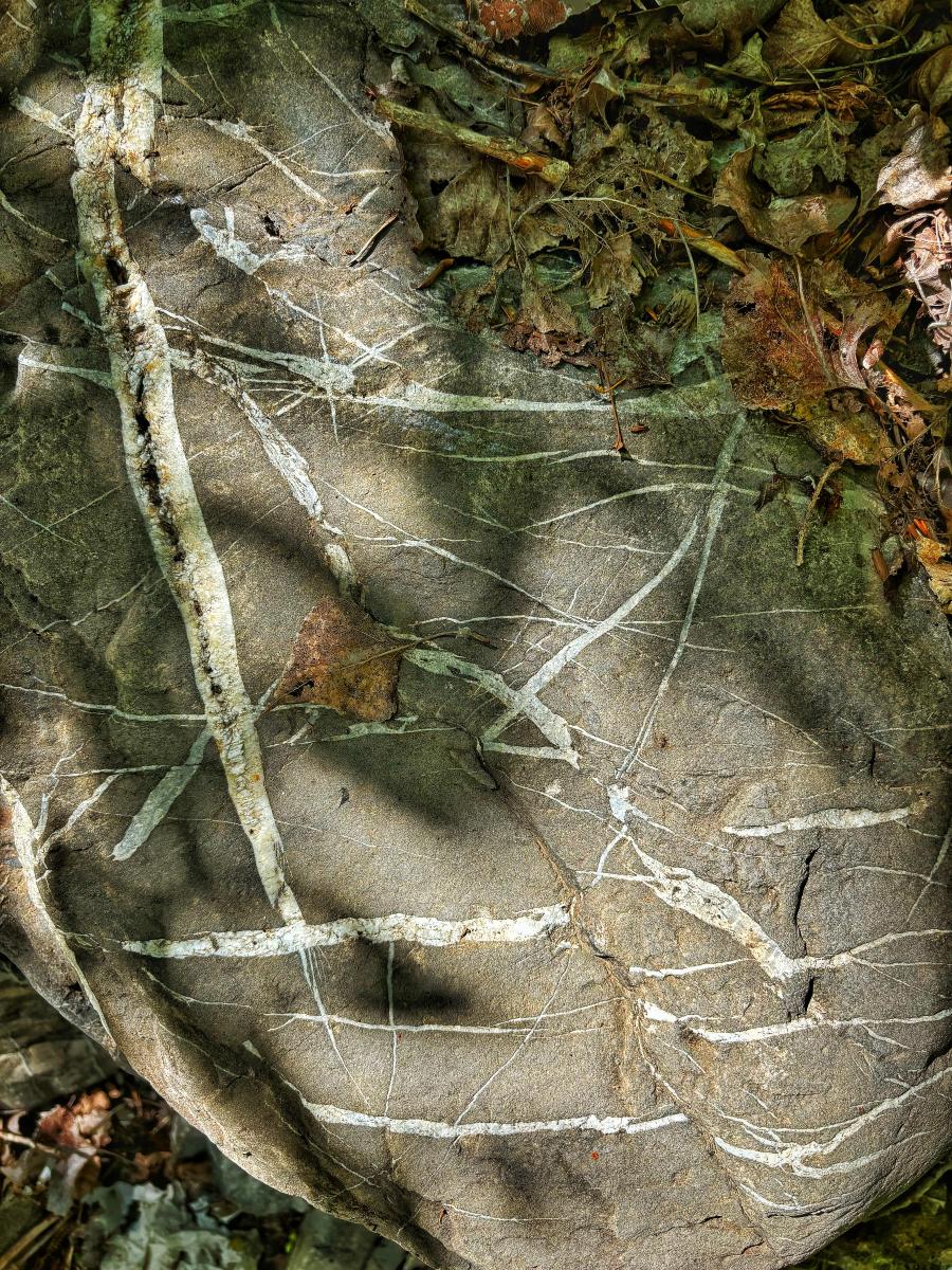 Inclusion Patterns, Ubaye, River Provence