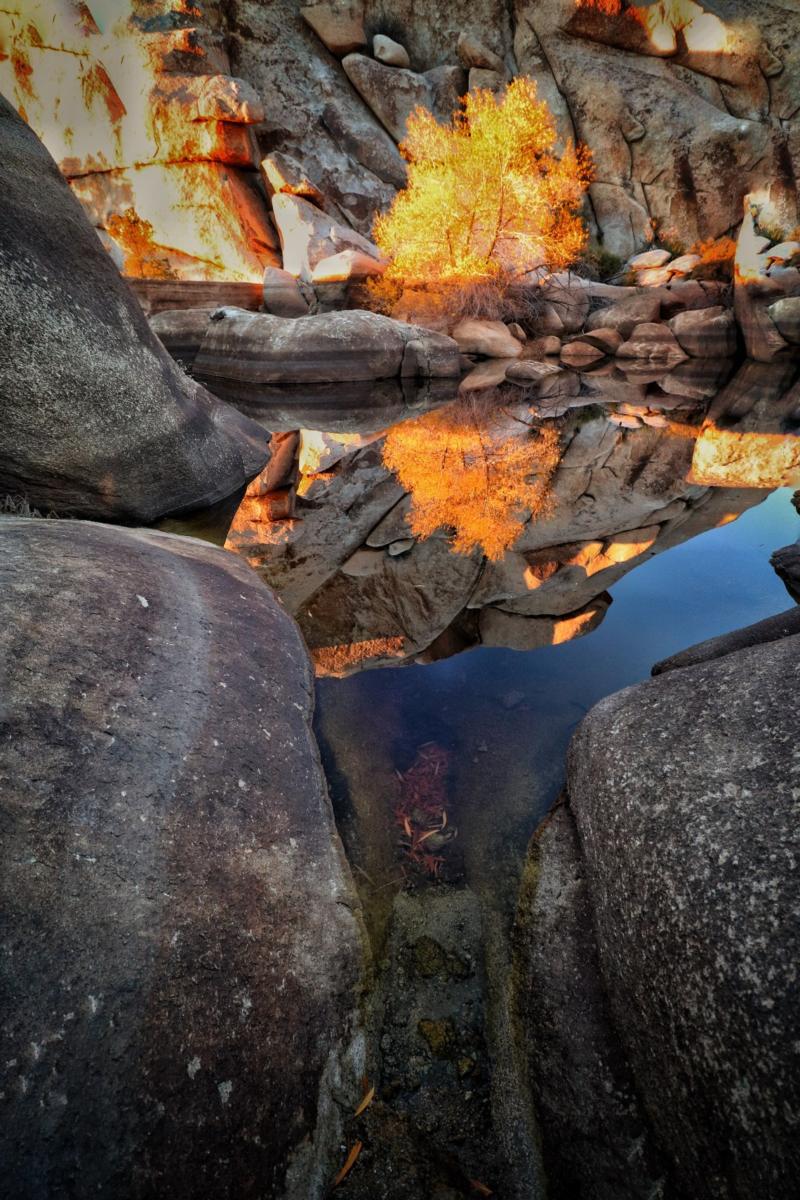 Barker Dam Reflections