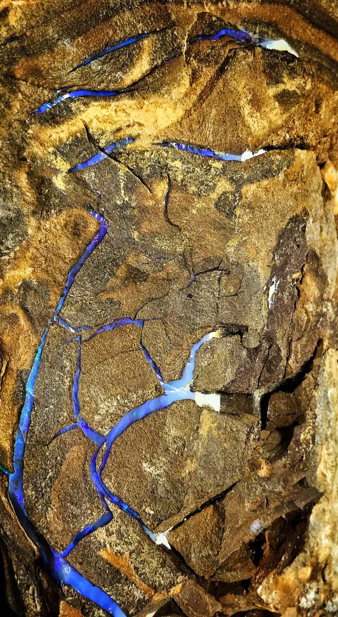 Opal, Kuranda, Australia