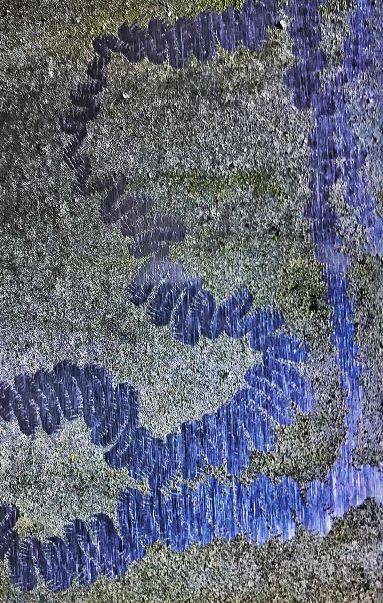 Snail Trail, Chattanooga