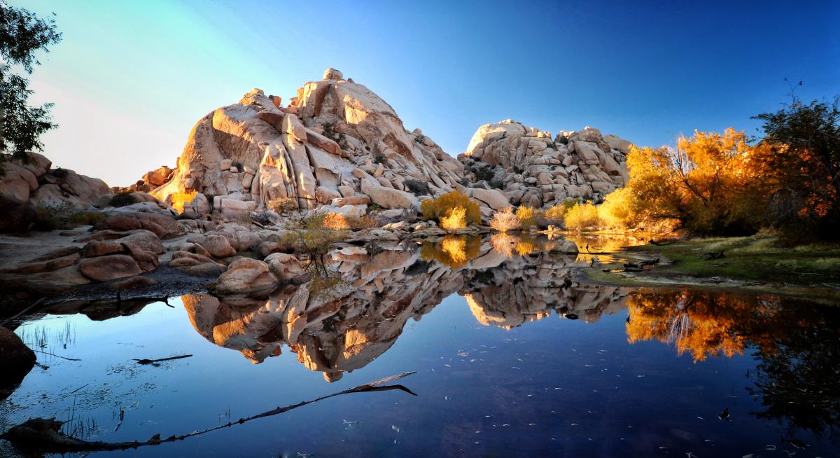 Joshua Tree National Park