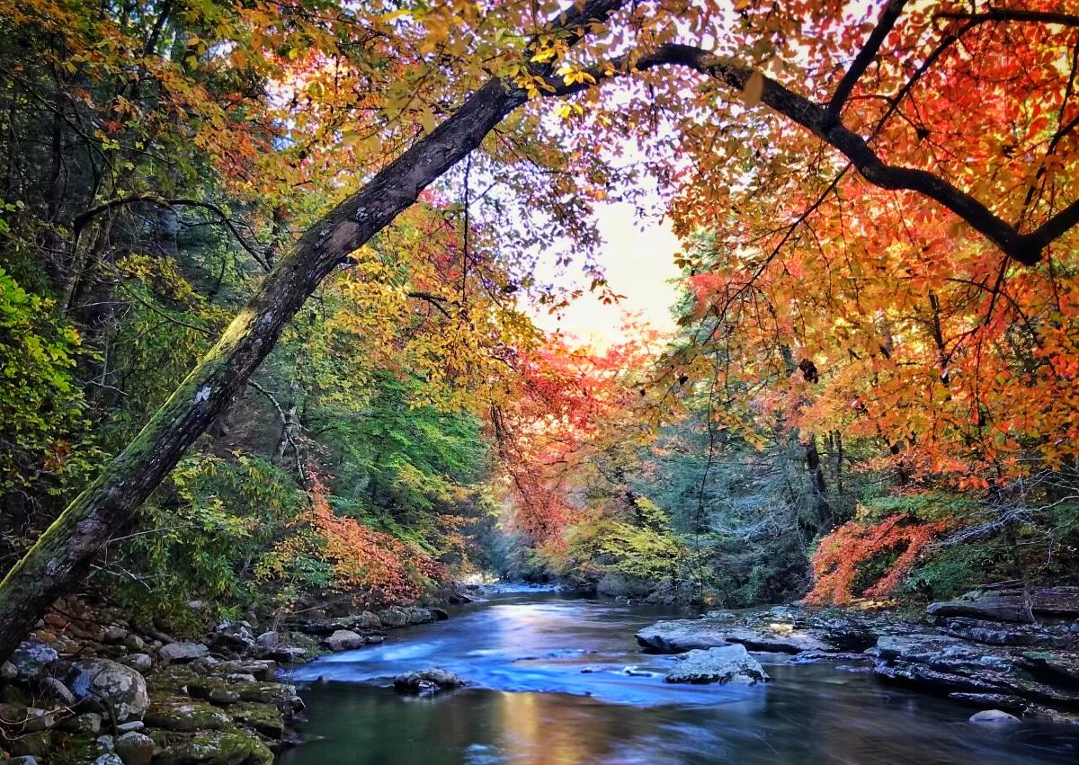 Rock Creek, Sale Creek, Tennessee