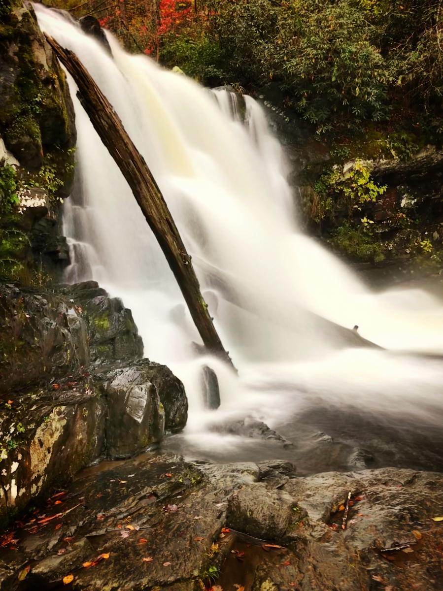 Waterfall, Cades Cove, Tennessee