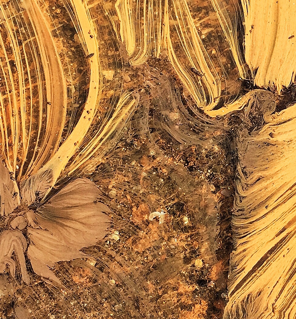 Mud/Water Pattern, Chattanooga, Tennessee