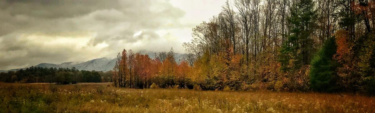 First Snow, Cades Cove, Tennessee
